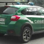 Carabinieri Forestali Parco Aspromonte: scoperta truffa aggravata ai danni di Ente Parco e Calabria Verde