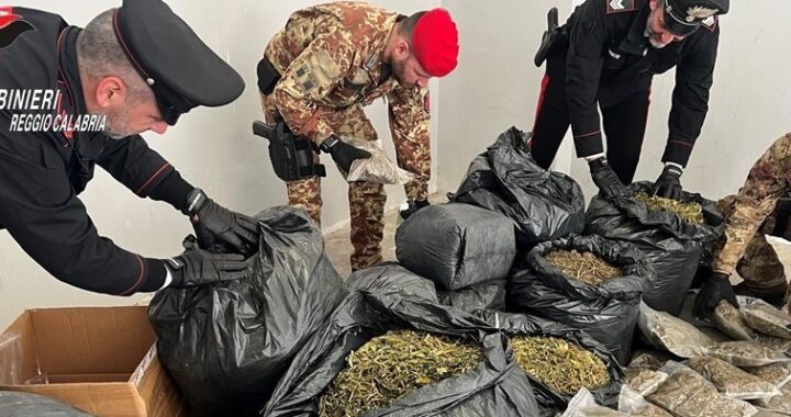 Un intero stock di marijuana nascosto in casa nella locride: arrestato dai Carabinieri un 35enne