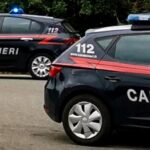 SIDERNO Arma clandestina, droga e fauna protetta: i Carabinieri arrestano una donna