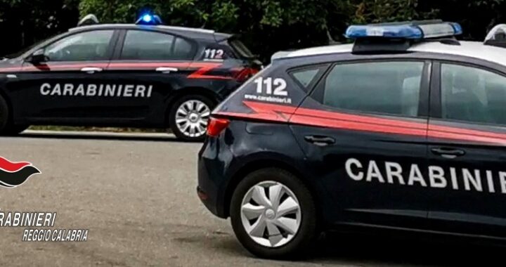 SIDERNO Arma clandestina, droga e fauna protetta: i Carabinieri arrestano una donna