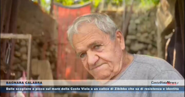 Dalle scogliere a picco sul mare della Costa Viola a un calice di Zibibbo che sa di resistenza e identità