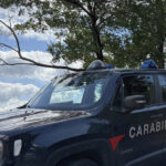 BAGNARA CALABRA Cinque Dacur per una rissa aggravata: divieto di accesso ai locali del centro cittadino