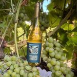 Concorso Mondial dei vini estremi, il vino di Zibibbo “L’Eroico” conquista la Gran medaglia d’oro 2026