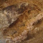 BAGNARA CALABRA I Panificatori bagnaresi annunciano l’aumento del prezzo del pane