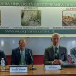 UNIRC Concluso l’ottavo convegno nazionale dell’olivo e dell’olio